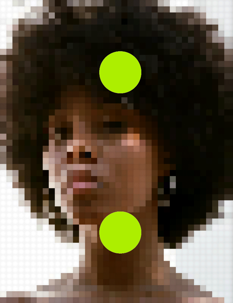 Animated visualisation of the Carra Textured Hair Engine dataset
